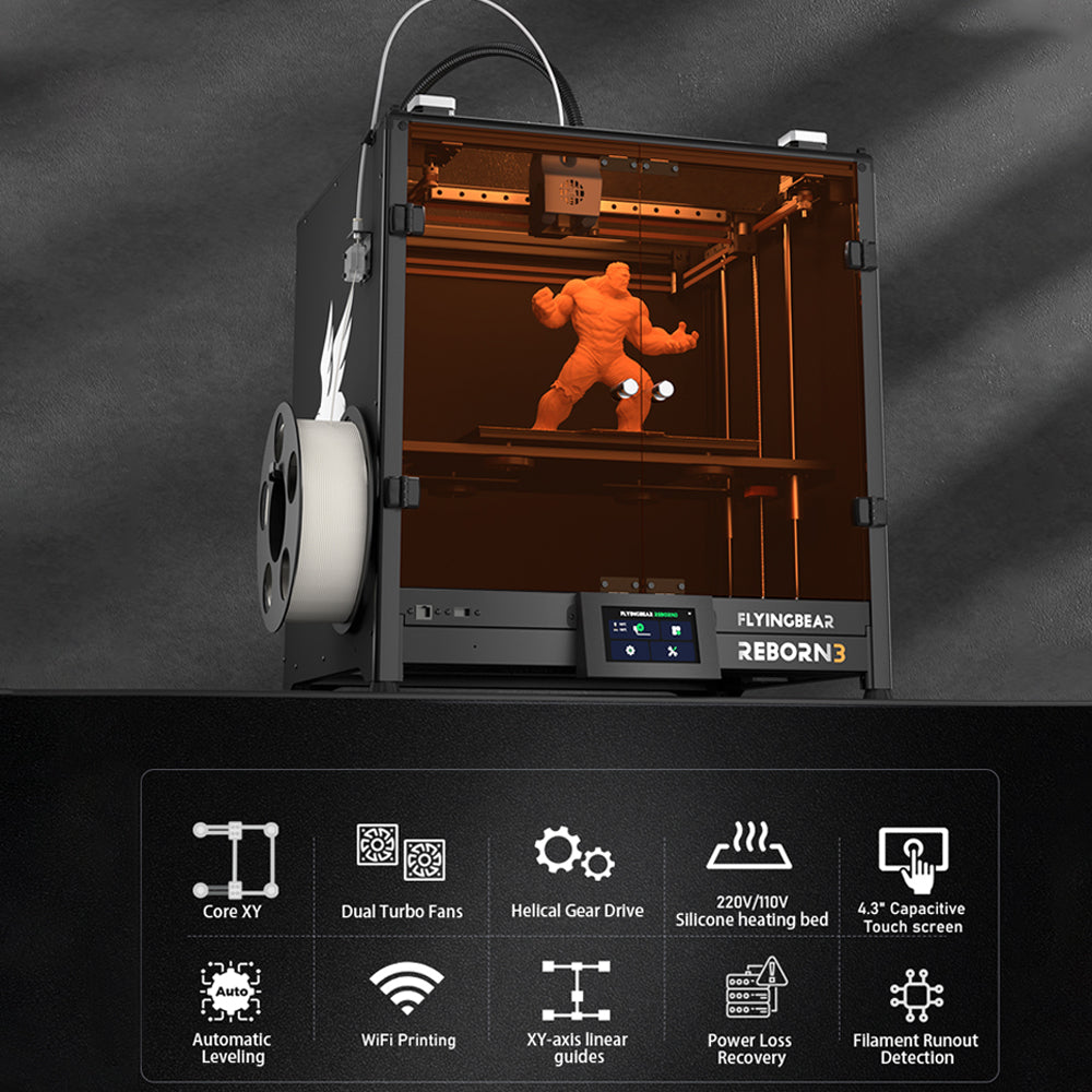 Flying Bear 3D Printer Reborn 3 New Arrival